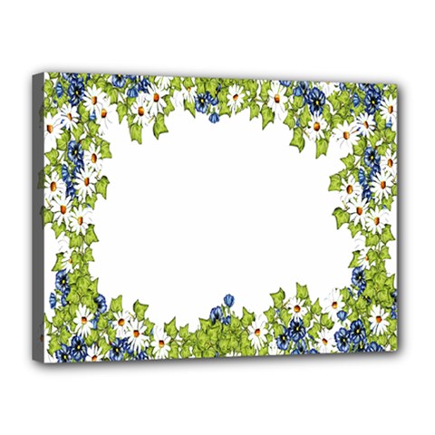 Birthday Card Flowers Daisies Ivy Canvas 16  X 12  by Nexatart