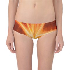 Red Leaf Macro Detail Classic Bikini Bottoms by Nexatart