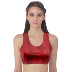 Stone Red Volcano Sports Bra by Mariart