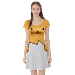 Yellow Cat Egg Short Sleeve Skater Dress by Catifornia