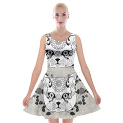Wonderful Sugar Cat Skull Velvet Skater Dress by FantasyWorld7