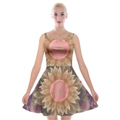 Pastel Pearl Lotus Garden Of Fractal Dahlia Flowers Velvet Skater Dress by jayaprime