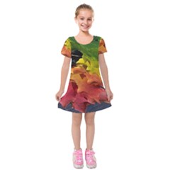 Green Yellow Red Maple Leaf Kids  Short Sleeve Velvet Dress by BangZart