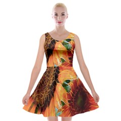 Sunflower Art  Artistic Effect Background Velvet Skater Dress by BangZart