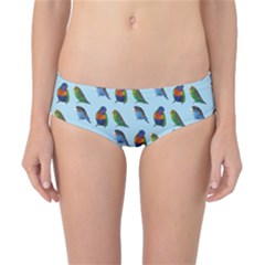 Blue Birds Parrot Pattern Classic Bikini Bottoms by paulaoliveiradesign