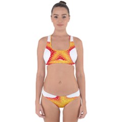 Starfish Cross Back Hipster Bikini Set by BangZart