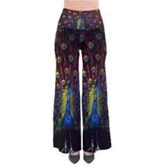 Beautiful Peacock Feather Pants by BangZart