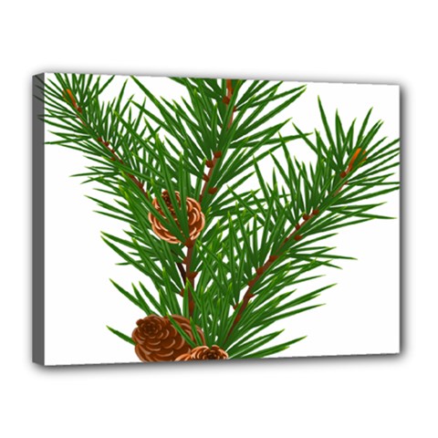 Branch Floral Green Nature Pine Canvas 16  X 12  by Nexatart