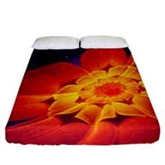 Royal Blue, Red, And Yellow Fractal Gerbera Daisy Fitted Sheet (king Size) by jayaprime