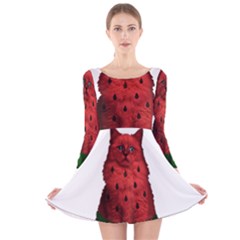 Watermelon Cat Long Sleeve Velvet Skater Dress by Valentinaart