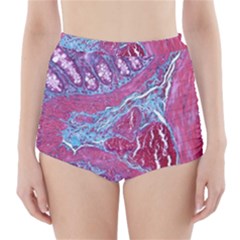 Natural Stone Red Blue Space Explore Medical Illustration Alternative High-waisted Bikini Bottoms by Mariart