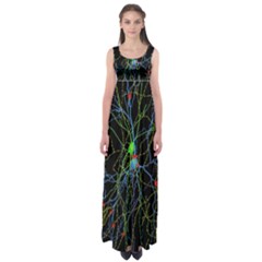 Synaptic Connections Between Pyramida Neurons And Gabaergic Interneurons Were Labeled Biotin During Empire Waist Maxi Dress