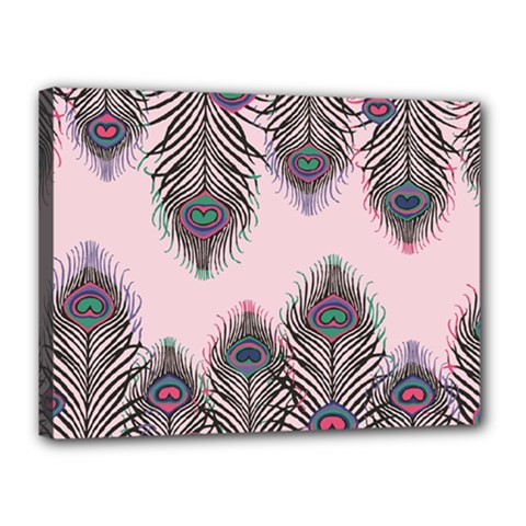 Peacock Feather Pattern Pink Love Heart Canvas 16  X 12  by Mariart