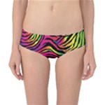 Rainbow Zebra Classic Bikini Bottoms