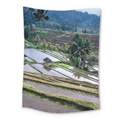 Rice Terrace Rice Fields Medium Tapestry by Nexatart