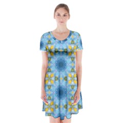 Blue Nice Daisy Flower Ang Yellow Squares Short Sleeve V-neck Flare Dress by MaryIllustrations