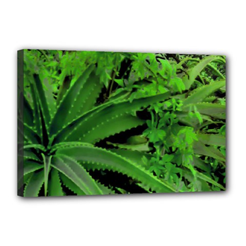 Vivid Tropical Design Canvas 18  X 12  by dflcprints