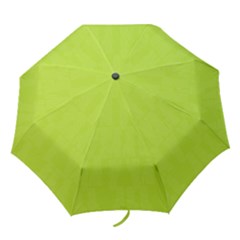 Line Green Folding Umbrellas