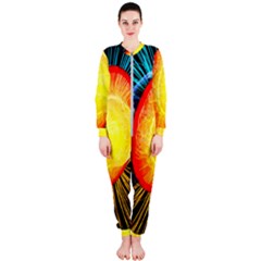 Cross Section Earth Field Lines Geomagnetic Hot Onepiece Jumpsuit (ladies) 