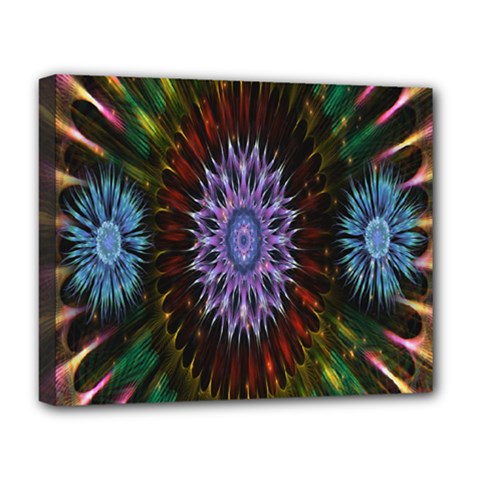 Flower Stigma Colorful Rainbow Animation Gold Space Deluxe Canvas 20  X 16   by Mariart