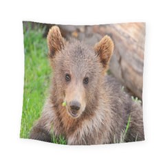 Baby Bear Animals Square Tapestry (small)