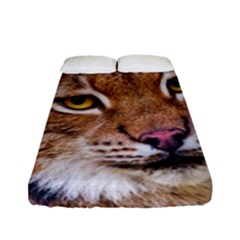 Tiger Beetle Lion Tiger Animals Fitted Sheet (full/ Double Size)