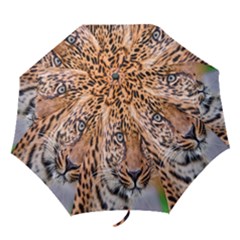 Tiger Beetle Lion Tiger Animals Leopard Folding Umbrellas