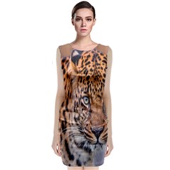 Tiger Beetle Lion Tiger Animals Leopard Sleeveless Velvet Midi Dress by Mariart