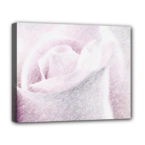 Rose Pink Flower  Floral Pencil Drawing Art Deluxe Canvas 20  X 16   by picsaspassion