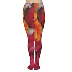 Floral Photography Orange Red Rose Daisy Elegant Flowers Bouquet Women s Tights