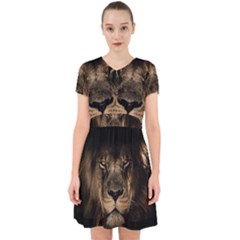 African Lion Mane Close Eyes Adorable In Chiffon Dress by Celenk