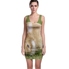 Beautiful Blue Eyed Bunny On Green Grass Bodycon Dress by Ucco