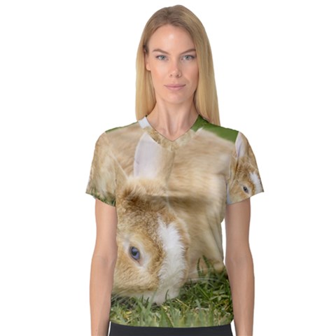 Beautiful Blue Eyed Bunny On Green Grass V-neck Sport Mesh Tee by Ucco