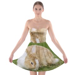Beautiful Blue Eyed Bunny On Green Grass Strapless Bra Top Dress by Ucco