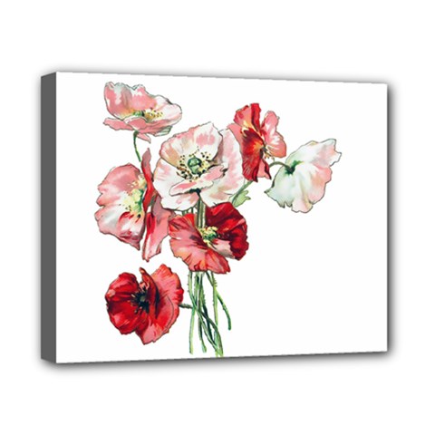 Flowers Poppies Poppy Vintage Canvas 10  X 8  by Celenk