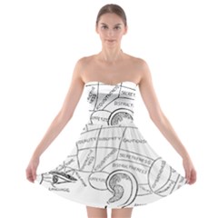 Brain Chart Diagram Face Fringe Strapless Bra Top Dress by Celenk