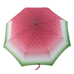 Watermelon Folding Umbrellas by jumpercat