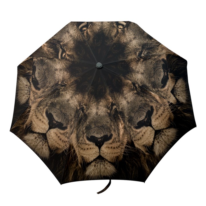 African Lion Mane Close Eyes Folding Umbrellas