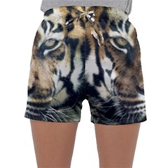 Tiger Bengal Stripes Eyes Close Sleepwear Shorts by BangZart