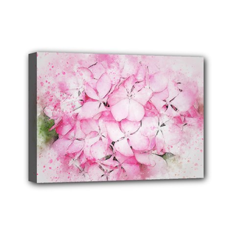 Flower Pink Art Abstract Nature Mini Canvas 7  X 5  by Celenk
