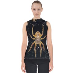 Nsect Macro Spider Colombia Shell Top by Celenk