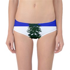 Flag Of Cascadia Classic Bikini Bottoms by abbeyz71