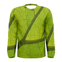 Green Leaf Plant Nature Structure Men s Long Sleeve Tee by Nexatart
