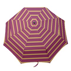 Color Line 5 Folding Umbrellas by jumpercat