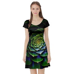 Nature Desktop Flora Color Pattern Short Sleeve Skater Dress by Nexatart