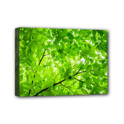 Green Wood The Leaves Twig Leaf Texture Mini Canvas 7  X 5  by Nexatart