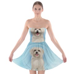 Cute Little Havanese Puppy Strapless Bra Top Dress by FantasyWorld7