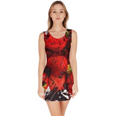 Strawberry Fruit Food Art Abstract Bodycon Dress by Nexatart