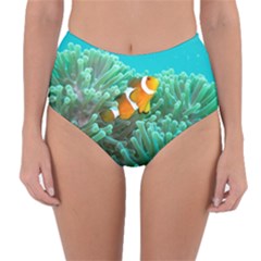 Clownfish 3 Reversible High-waist Bikini Bottoms by trendistuff