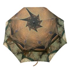 Moray Eel 1 Folding Umbrellas by trendistuff